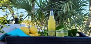 Limoncello