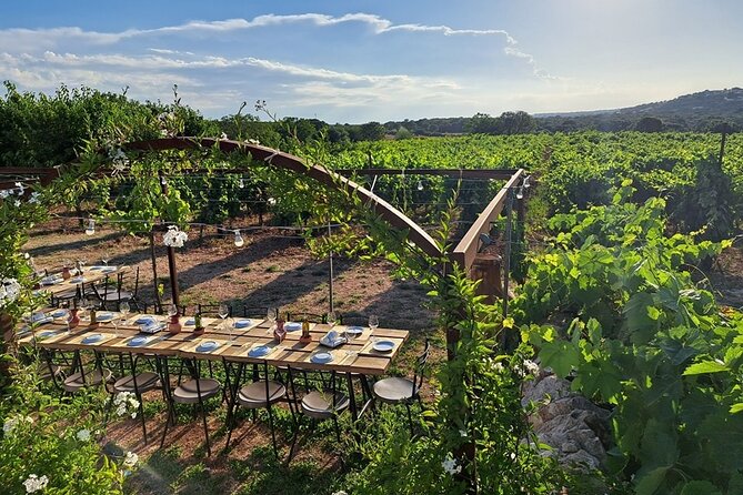 winery Castagno