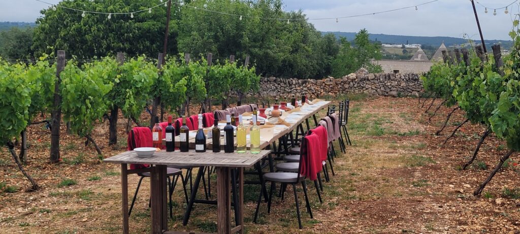 dinner in a vineyard